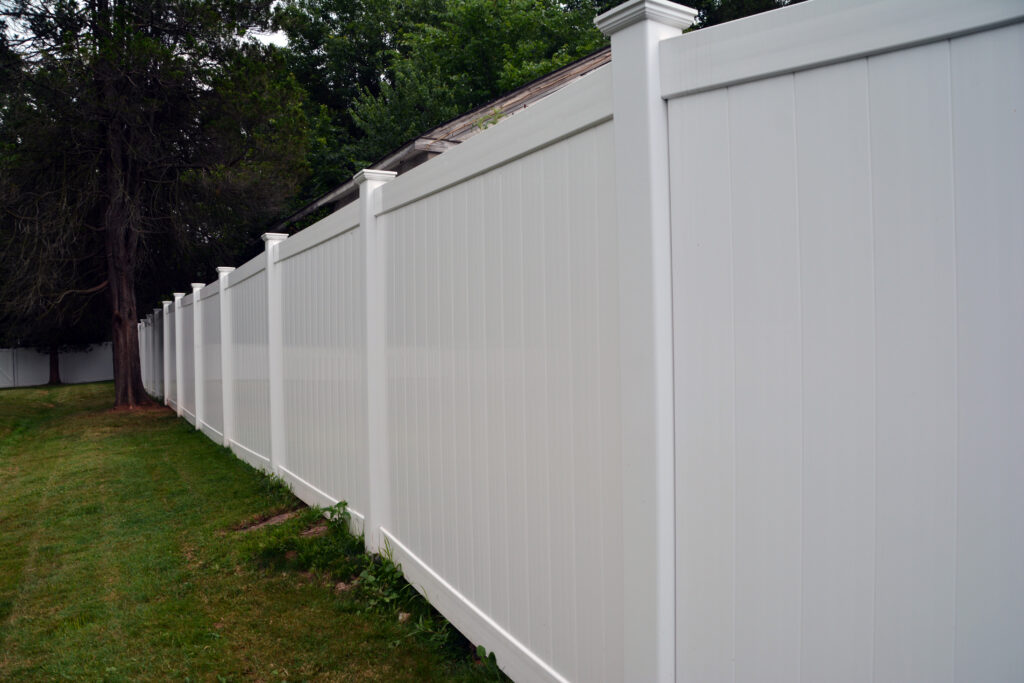 fencing2