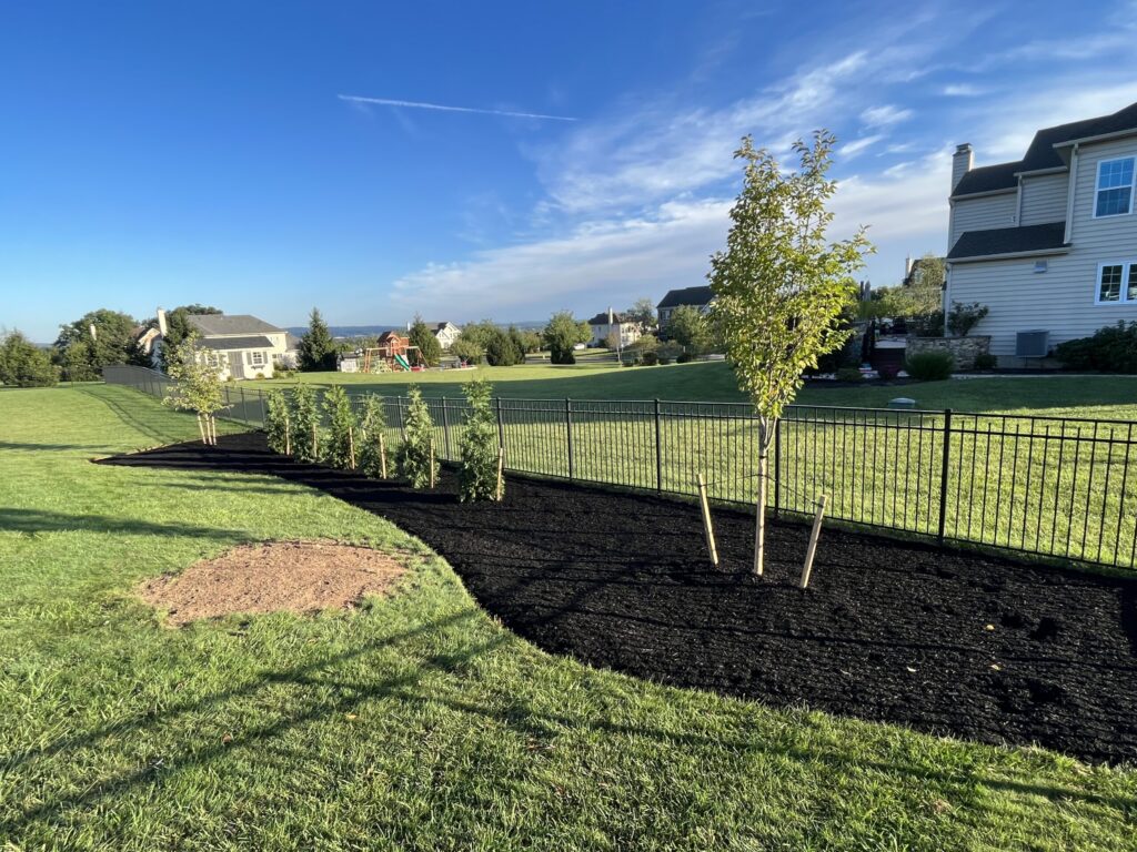 landscaping16