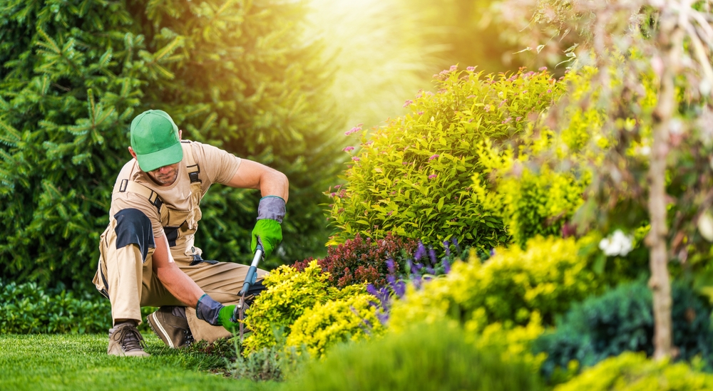 What is Landscaping Maintenance?